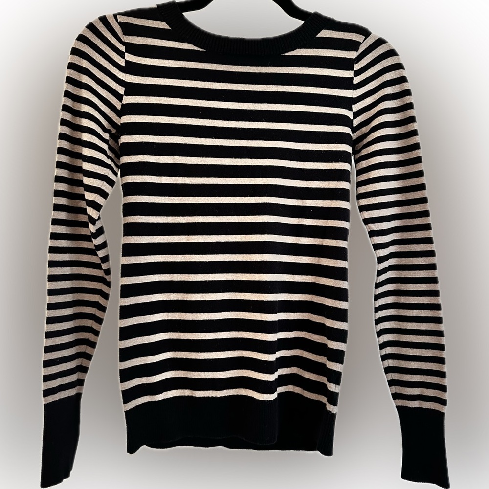 Express Fitted Striped Crewneck Sweater